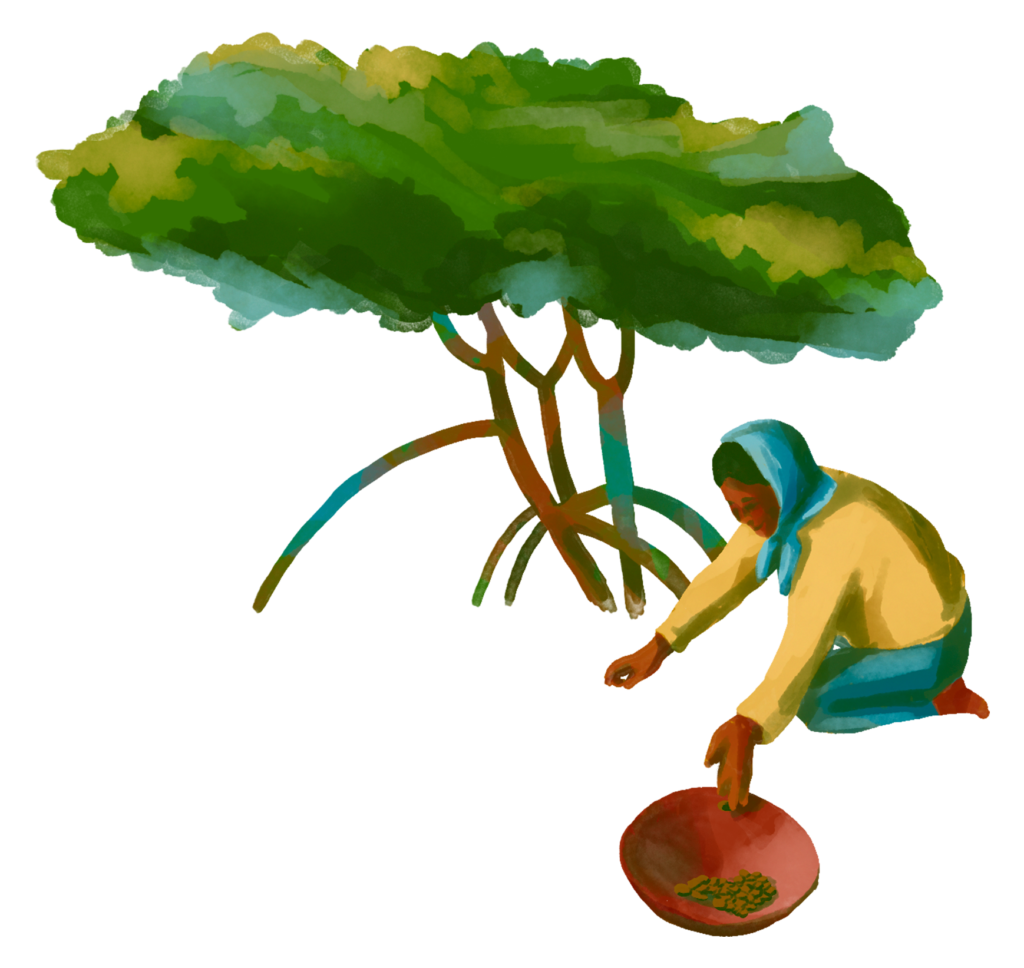 marisqueira
